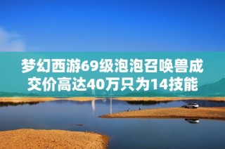 梦幻西游69级泡泡召唤兽成交价高达40万只为14技能背后故事