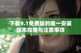 下载9.1免费版的唯一安装版本指南与注意事项