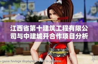 江西省第十建筑工程有限公司与中建城开合作项目分析与前景展望