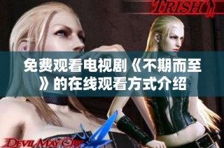 免费观看电视剧《不期而至》的在线观看方式介绍