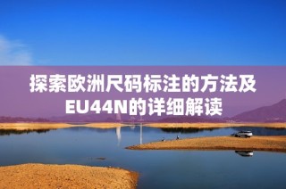 探索欧洲尺码标注的方法及EU44N的详细解读