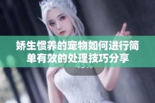 娇生惯养的宠物如何进行简单有效的处理技巧分享