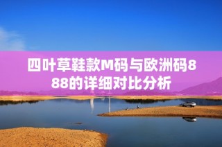 四叶草鞋款M码与欧洲码888的详细对比分析