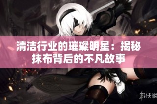 清洁行业的璀璨明星：揭秘抹布背后的不凡故事