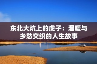 东北大炕上的虎子：温暖与乡愁交织的人生故事