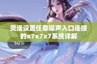 灵活设置任意噪声入口连接的x7x7x7系统详解