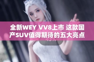 全新WEY VV8上市 这款国产SUV值得期待的五大亮点分析