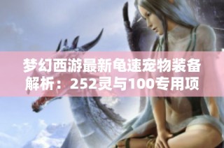 梦幻西游最新龟速宠物装备解析：252灵与100专用项链的精彩搭配