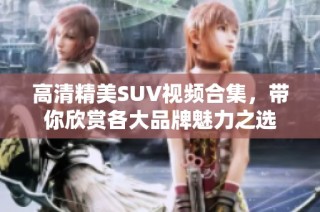 高清精美SUV视频合集，带你欣赏各大品牌魅力之选