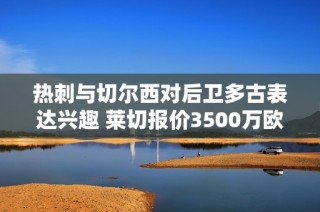 热刺与切尔西对后卫多古表达兴趣 莱切报价3500万欧元