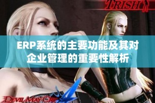 ERP系统的主要功能及其对企业管理的重要性解析