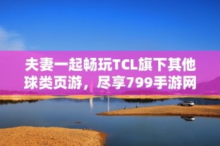 夫妻一起畅玩TCL旗下其他球类页游，尽享799手游网乐趣