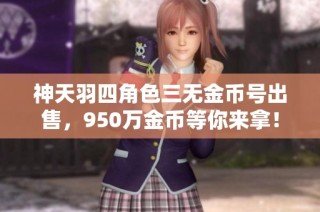 神天羽四角色三无金币号出售，950万金币等你来拿！