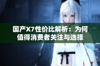 国产X7性价比解析：为何值得消费者关注与选择