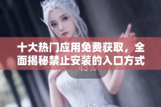 十大热门应用免费获取，全面揭秘禁止安装的入口方式