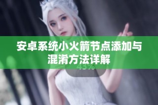 安卓系统小火箭节点添加与混淆方法详解