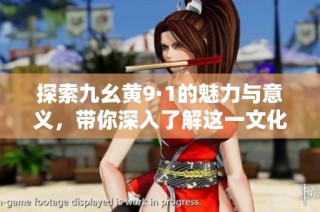 探索九幺黄9·1的魅力与意义，带你深入了解这一文化现象