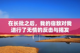 在长批之后，我的宿敌对我进行了无情的反击与揭发