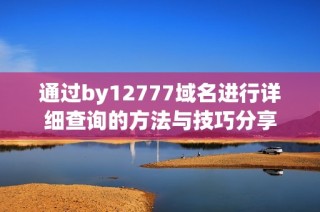 通过by12777域名进行详细查询的方法与技巧分享