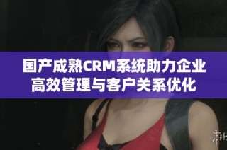 国产成熟CRM系统助力企业高效管理与客户关系优化
