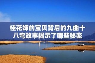桂花婶的宝贝背后的九曲十八弯故事揭示了哪些秘密