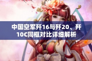 中国空军歼16与歼20、歼10C同框对比详细解析