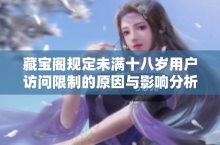 藏宝阁规定未满十八岁用户访问限制的原因与影响分析