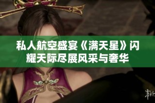 私人航空盛宴《满天星》闪耀天际尽展风采与奢华