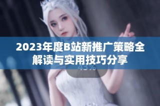 2023年度B站新推广策略全解读与实用技巧分享