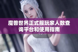 魔兽世界正式服玩家人数查询平台和使用指南