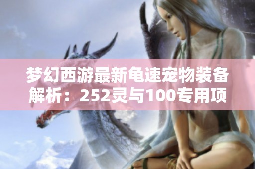 梦幻西游最新龟速宠物装备解析：252灵与100专用项链的精彩搭配