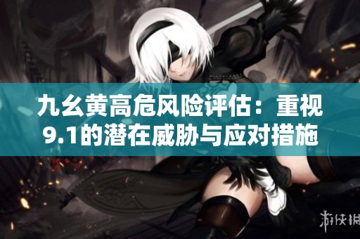 九幺黄高危风险评估：重视9.1的潜在威胁与应对措施