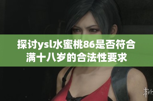探讨ysl水蜜桃86是否符合满十八岁的合法性要求