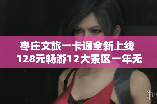 枣庄文旅一卡通全新上线 128元畅游12大景区一年无限次数