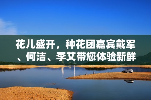 花儿盛开，种花团嘉宾戴军、何洁、李艾带您体验新鲜花卉之美