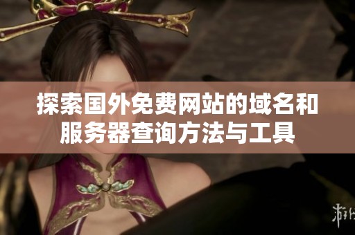 探索国外免费网站的域名和服务器查询方法与工具