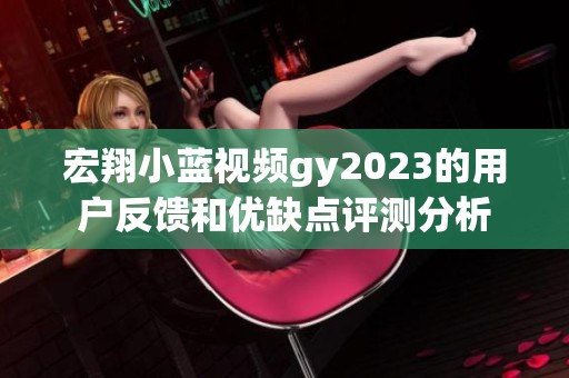 宏翔小蓝视频gy2023的用户反馈和优缺点评测分析