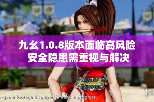 九幺1.0.8版本面临高风险 安全隐患需重视与解决