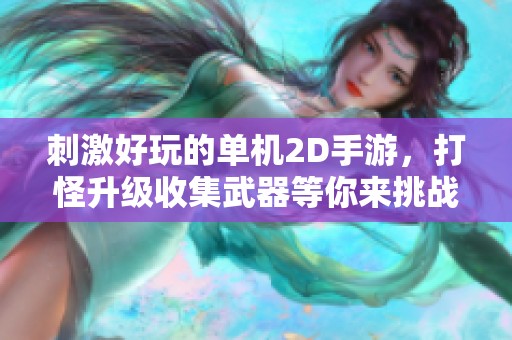刺激好玩的单机2D手游，打怪升级收集武器等你来挑战