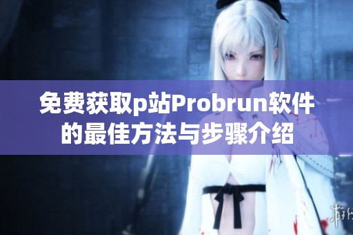 免费获取p站Probrun软件的最佳方法与步骤介绍