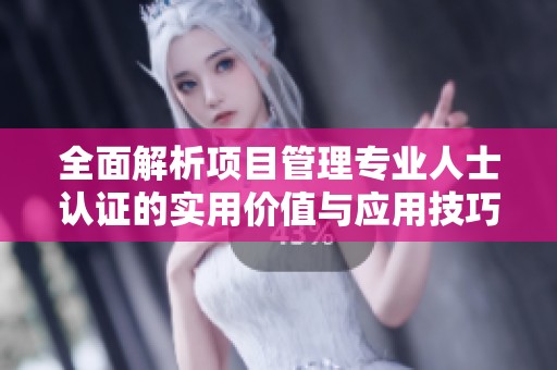 全面解析项目管理专业人士认证的实用价值与应用技巧