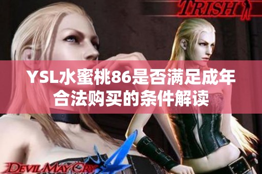 YSL水蜜桃86是否满足成年合法购买的条件解读
