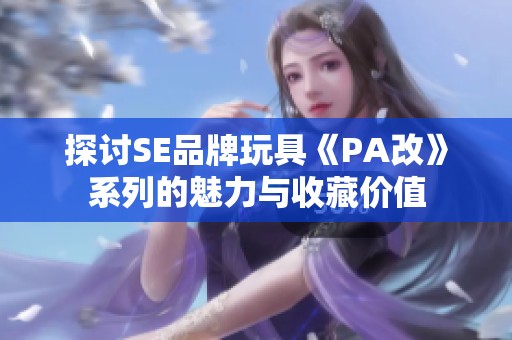 探讨SE品牌玩具《PA改》系列的魅力与收藏价值