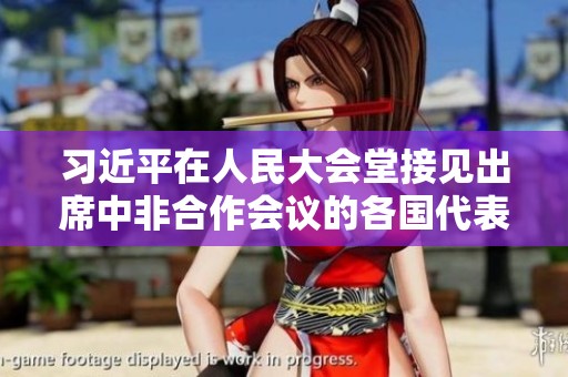 习近平在人民大会堂接见出席中非合作会议的各国代表