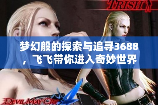 梦幻般的探索与追寻3688，飞飞带你进入奇妙世界
