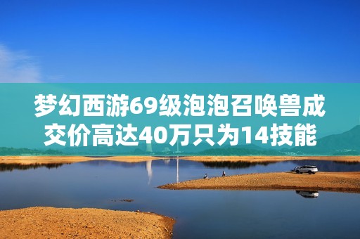 梦幻西游69级泡泡召唤兽成交价高达40万只为14技能背后故事