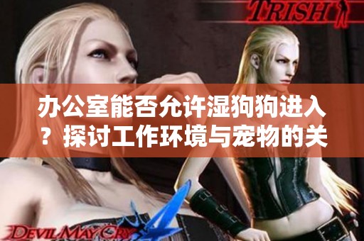 办公室能否允许湿狗狗进入？探讨工作环境与宠物的关系