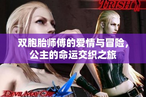 双胞胎师傅的爱情与冒险，公主的命运交织之旅