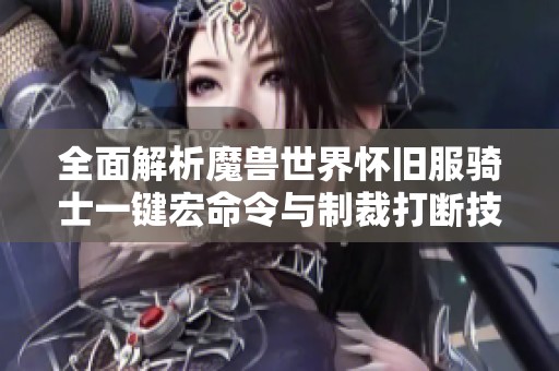 全面解析魔兽世界怀旧服骑士一键宏命令与制裁打断技巧