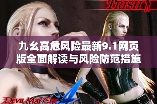 九幺高危风险最新9.1网页版全面解读与风险防范措施
